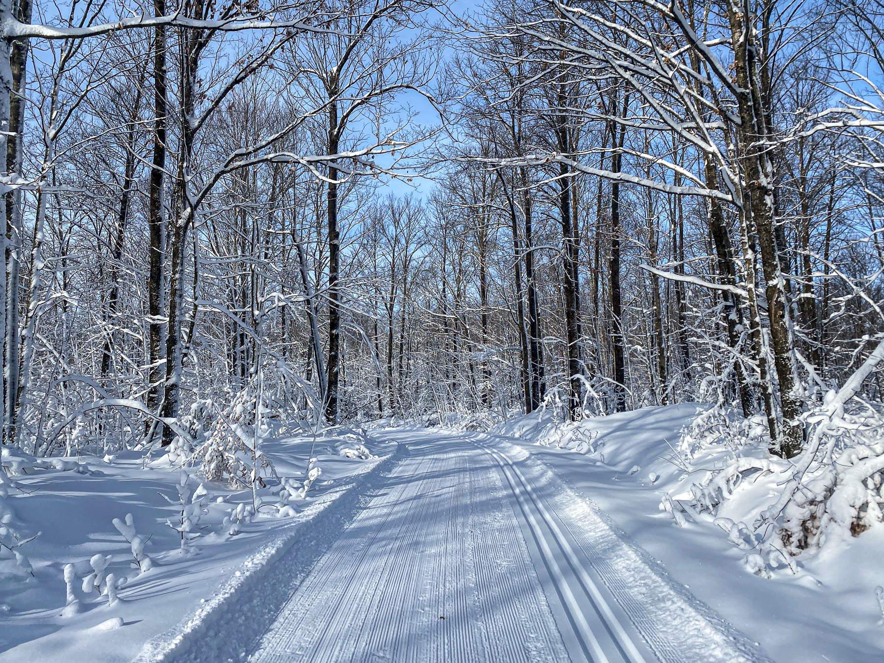 Snow trail